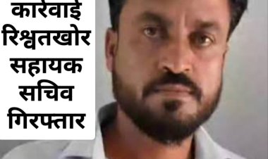 लोकायुक्त की कार्रवाई : लोकायुक्त ने सहायक सचिव को  8 हजार की रिश्वत लेते पकड़ा