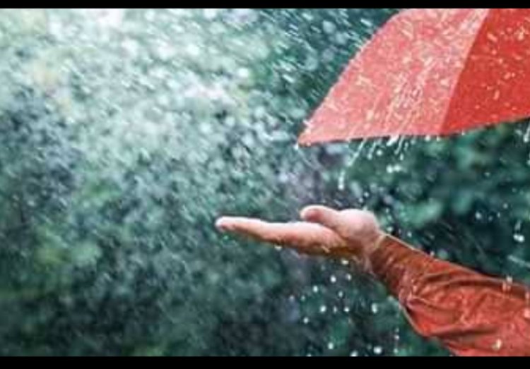 साहित्य सरोकार : सावन आया कैसा...