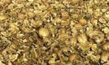 पुलिस कार्रवाई : 10 लाख की कार और चार लाख का डोडा चूरा जब्त