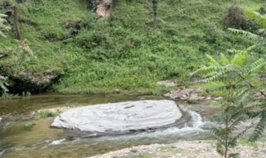 साहित्य रचना :  ग़ुरबत में पैरवी नहीं चाहिए, हक़ीक़त में बेचारगी नहीं चाहिए