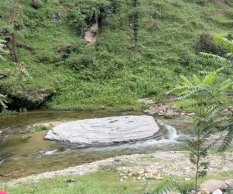 साहित्य रचना :  ग़ुरबत में पैरवी नहीं चाहिए, हक़ीक़त में बेचारगी नहीं चाहिए