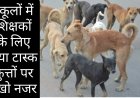 शिक्षकों के लिए नया टास्क : स्कूल में अब शिक्षक कुत्ते भी भगाते हुए आएंगे नजर
