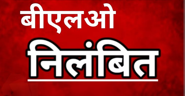 कलेक्टर की कार्रवाई : विशेष गहन पुनरीक्षण कार्य में लापरवाही पर बीएलओ राणावत निलंबित