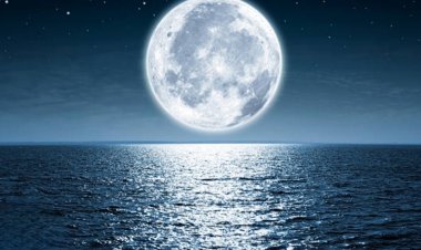 साहित्य रचना : वो क्या है?