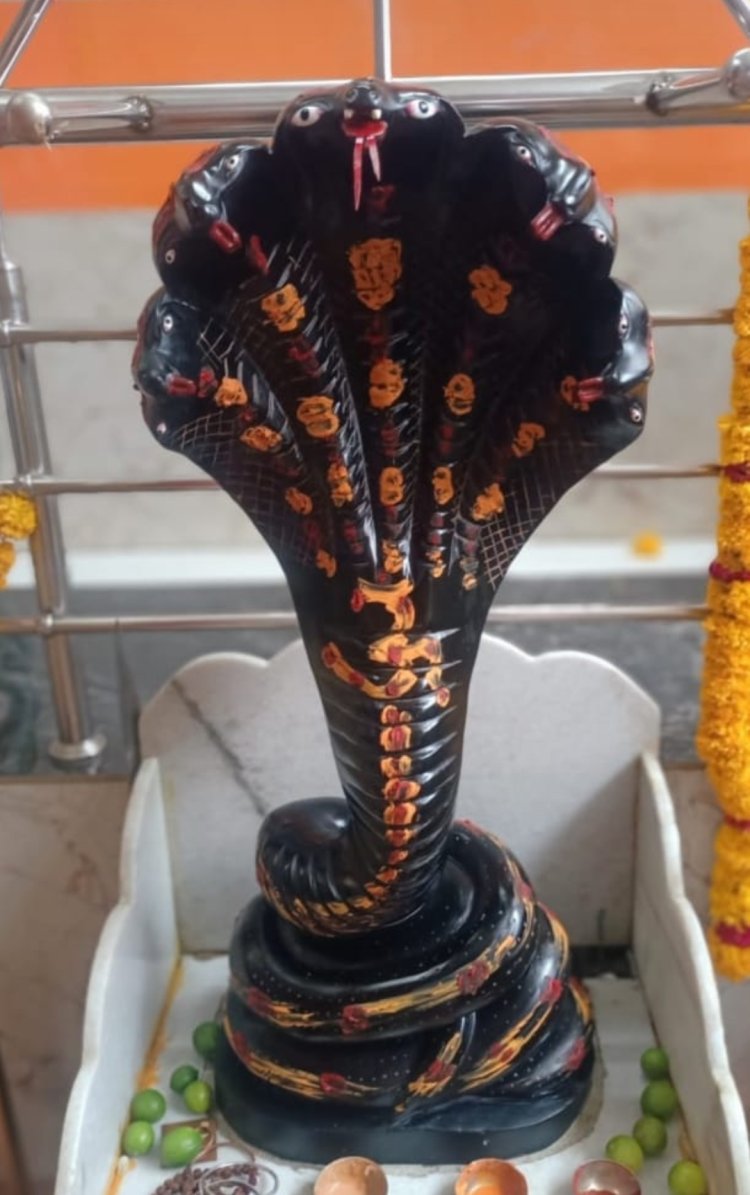 धर्म संस्कृति : वासुकीनाथ बाबा के दिव्य अभिषेक से जागृत होगी आस्था, आयोजन 25 को