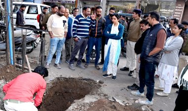 रतलाम के लोगों की सेहत को लेकर कलेक्टर चिंतित, टीम बनाकर करें सर्वे, पेयजल में अशुद्धि मिलने की न रहे गुंजाइश