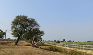 रेलयात्री सरोकार : रतलाम मंडल में ट्रैक साइड फेंसिंग से बढ़ेगी ट्रेनों की गति, पशु नहीं आएंगे ट्रैक पर