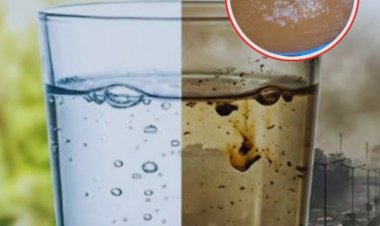 कलेक्टर के निर्देश : पेयजल की शुद्धता की नियमित करें जांच, करें जल समिति की बैठक