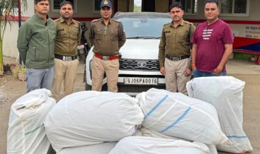 कार्रवाई : टाटा हैरियर कार से 140 किलो ग्राम डोडा चुरा जब्त