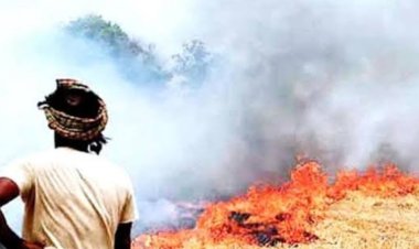 कलेक्टर का आदेश : रतलाम जिले में नरवाई जलाने पर पूर्ण प्रतिबंध