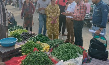 कार्रवाई : 18 दुकानों से लिए गए फल सब्जी के नमूने