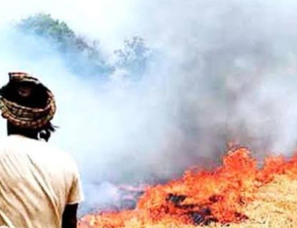 कलेक्टर का आदेश : रतलाम जिले में नरवाई जलाने पर पूर्ण प्रतिबंध