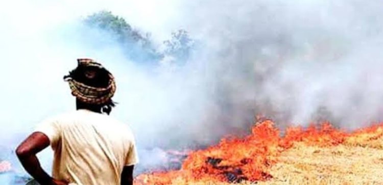 कलेक्टर का आदेश : रतलाम जिले में नरवाई जलाने पर पूर्ण प्रतिबंध