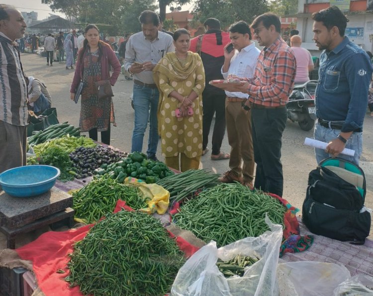 कार्रवाई : 18 दुकानों से लिए गए फल सब्जी के नमूने