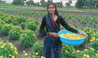 उपलब्धि सरोकार : लखपति दीदी बनीं पूजा खराड़ी, आजीविका मिशन से बदली जिंदगी