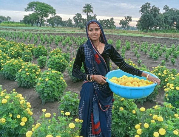 उपलब्धि सरोकार : लखपति दीदी बनीं पूजा खराड़ी, आजीविका मिशन से बदली जिंदगी