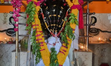 धर्म संस्कृति : वैशाख माह की पावनता में शिव शक्ति वासुकी धाम में हुआ दिव्य अभिषेक