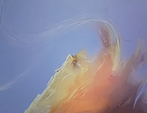 पुस्तक समीक्षा : कविता संकलन ’पहाड़ों की धड़कन’