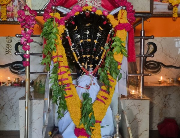 धर्म संस्कृति : वैशाख माह की पावनता में शिव शक्ति वासुकी धाम में हुआ दिव्य अभिषेक