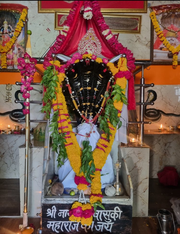 धर्म संस्कृति : वैशाख माह की पावनता में शिव शक्ति वासुकी धाम में हुआ दिव्य अभिषेक