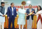 डॉ.भार्गव 'भारत प्रतिभा सम्मान'से नई दिल्ली में हुए अलंकृत