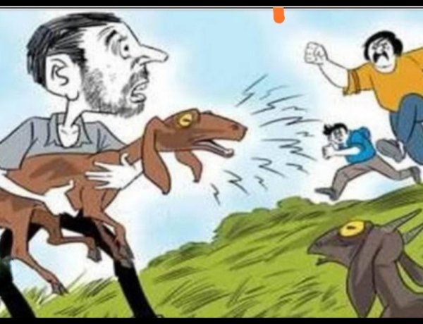 इंदौर के चार बकरा चोर गिरफ्तार, रतलाम जिले में की थी चोरी बकरों की