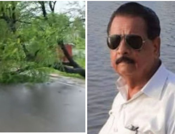 हादसा या हत्या : बुलेट सवार सैलाना जनपद के पूर्व सदस्य कृष्ण सिंह राठौर पर गिरा पेड़, हुई मौत