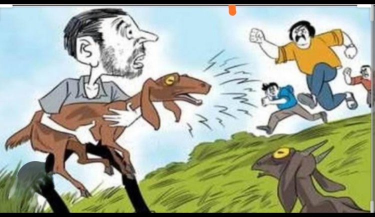 इंदौर के चार बकरा चोर गिरफ्तार, रतलाम जिले में की थी चोरी बकरों की
