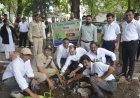 विश्व पर्यावरण दिवस पर न्यायालय परिसर में किया पौधरोपण