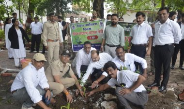 विश्व पर्यावरण दिवस पर न्यायालय परिसर में किया पौधरोपण