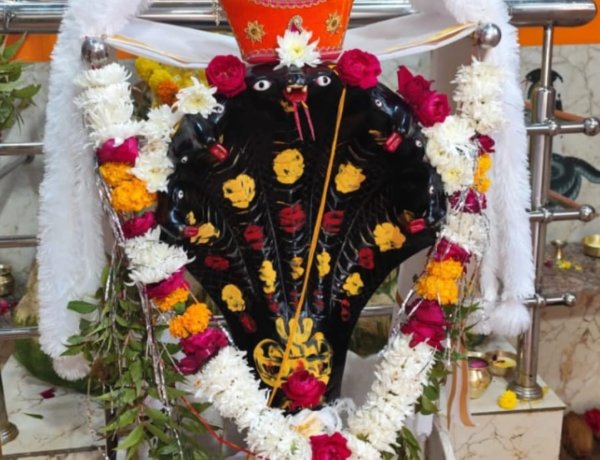 धर्म संस्कृति : शिव शक्ति वासुकी धाम में भव्य शिखर कलश प्रतिष्ठा 24 जून को