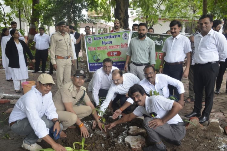 विश्व पर्यावरण दिवस पर न्यायालय परिसर में किया पौधरोपण