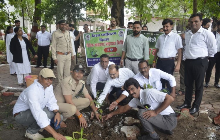 विश्व पर्यावरण दिवस पर न्यायालय परिसर में किया पौधरोपण
