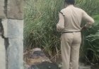 महू रोड पर नाले में मिला अज्ञात व्यक्ति का शव, फैली सनसनी  लोगों ने दी सूचना