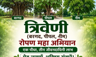 सामाजिक सरोकार : बरगद-पीपल-नीम से गढ़ेंगे शीतल भविष्य, बैठक और पोस्टर विमोचन 5 जुलाई को