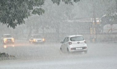 मानसून हुआ सक्रिय : चौबीस घंटों में झमाझम बारिश, आलोट में सबसे ज्यादा 84 मिमी बरसे बादल