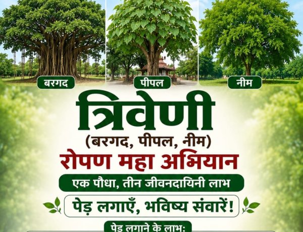 सामाजिक सरोकार : बरगद-पीपल-नीम से गढ़ेंगे शीतल भविष्य, बैठक और पोस्टर विमोचन 5 जुलाई को