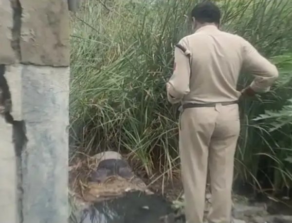 महू रोड पर नाले में मिला अज्ञात व्यक्ति का शव, फैली सनसनी  लोगों ने दी सूचना