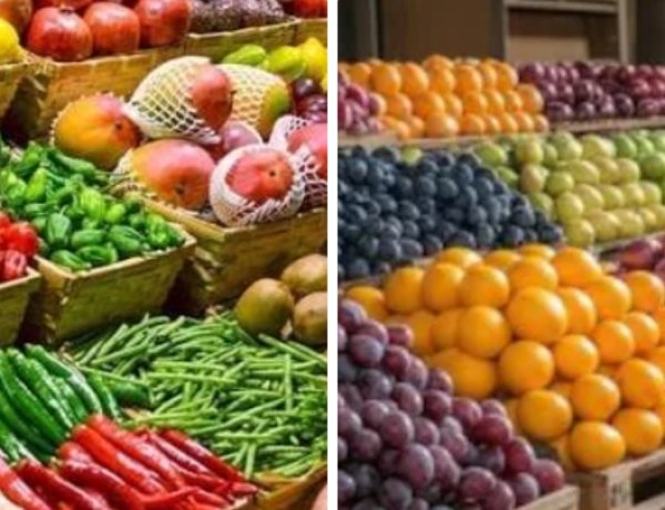 रतलाम को मिल सकती है बड़ी सौगात: सैलाना बस स्टैंड पर हाइटेक मल्टी-स्टोरी सब्जी व फल मंडी