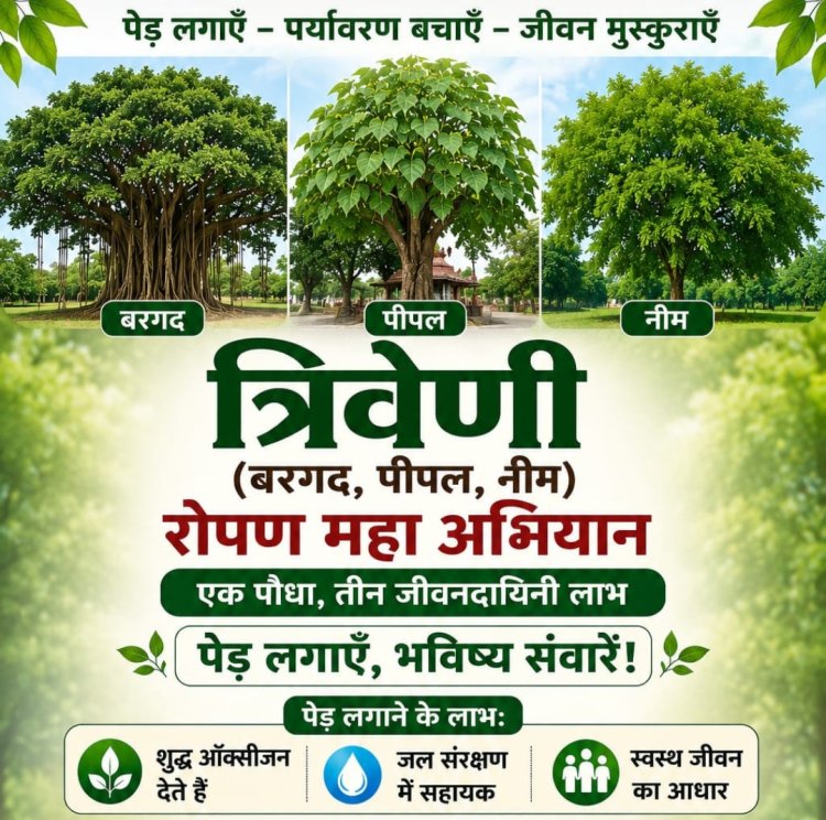 सामाजिक सरोकार : बरगद-पीपल-नीम से गढ़ेंगे शीतल भविष्य, बैठक और पोस्टर विमोचन 5 जुलाई को
