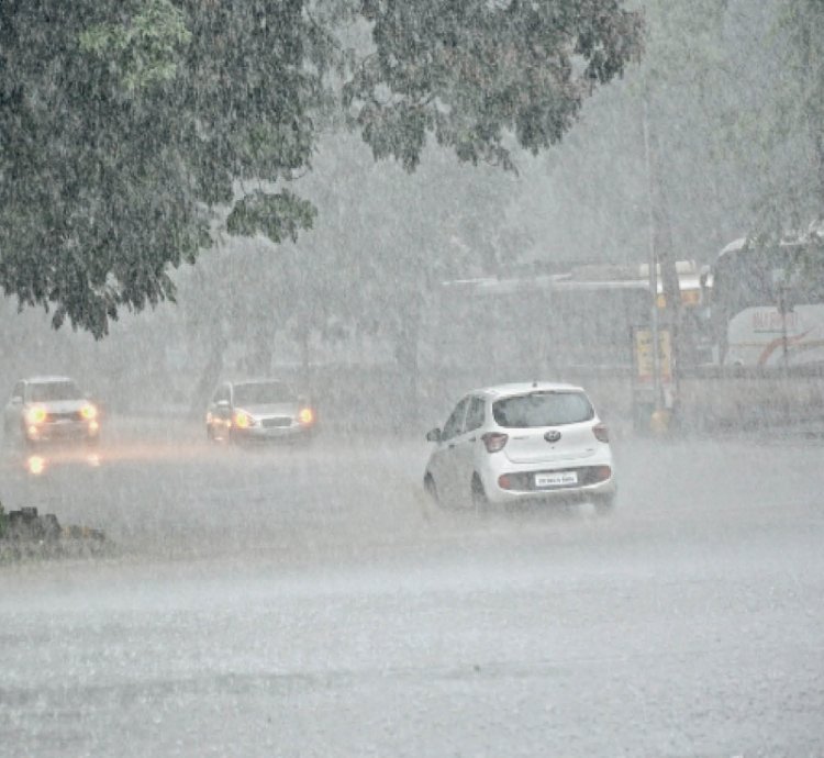 मानसून हुआ सक्रिय : चौबीस घंटों में झमाझम बारिश, आलोट में सबसे ज्यादा 84 मिमी बरसे बादल