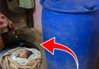 बेटा-बेटी में फर्क की बलि चढ़ी 4 दिन की मासूम