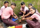 हरियाली अमावस्या पर नूतन बाल मंदिर में रोपे 40 पौधे 
