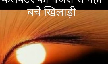 कलेक्टर ने पकड़ा आरसीएमएस पोर्टल पर 6,800 से अधिक प्रकरण दबाने का खेल:
