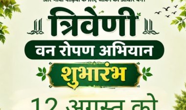 सामाजिक सरोकार : हरियाली अमावस्या 12 अगस्त को शुरू होगा त्रिवेणी वनरोपण अभियान