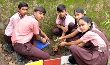 हरियाली अमावस्या पर नूतन बाल मंदिर में रोपे 40 पौधे 
