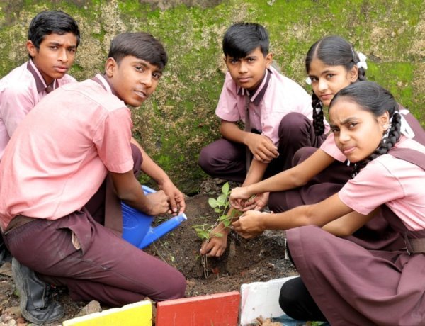 हरियाली अमावस्या पर नूतन बाल मंदिर में रोपे 40 पौधे 