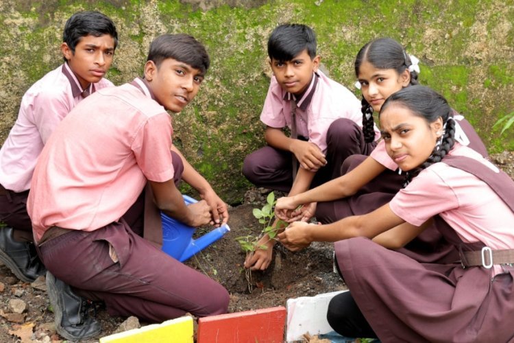 हरियाली अमावस्या पर नूतन बाल मंदिर में रोपे 40 पौधे 