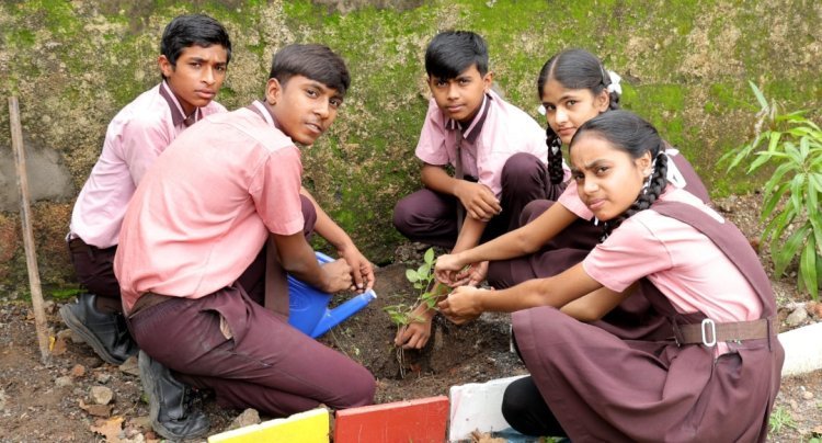 हरियाली अमावस्या पर नूतन बाल मंदिर में रोपे 40 पौधे 