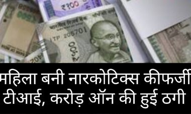 रतलाम में नारकोटिक्स की फर्जी TI बनकर महिला ने 3.45 करोड़ ठगे